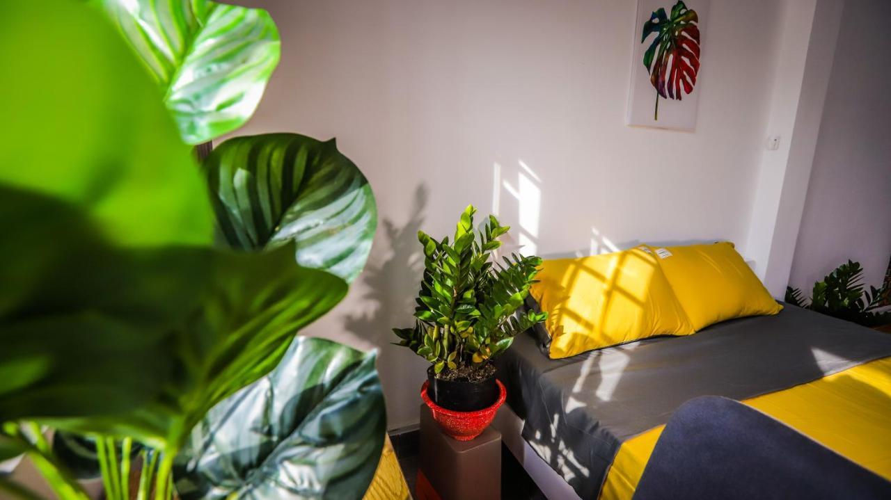 Feli Home 2 - Peaceful House Хошимин Экстерьер фото